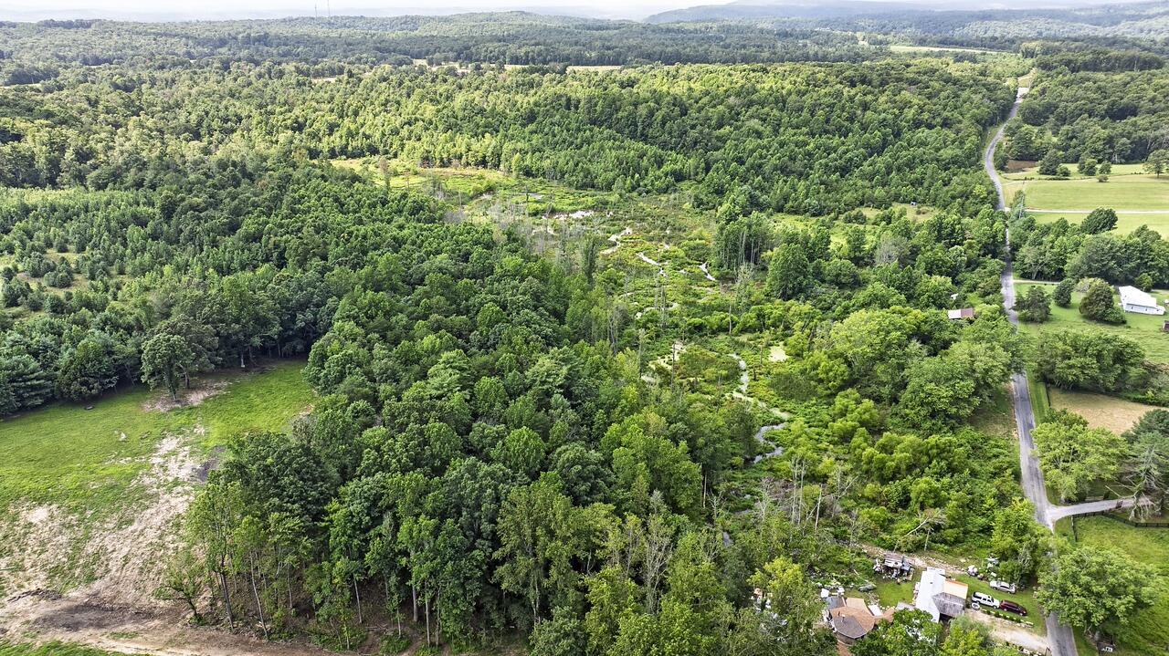 329 Flower Garden Road Grandview, TN 37337 - Photo 3 of 17 fg16