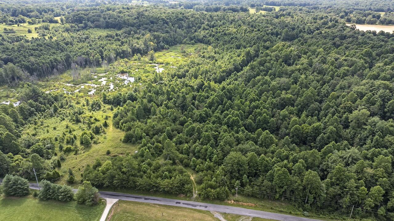 329 Flower Garden Road Grandview, TN 37337 - Photo 4 of 17 fg2
