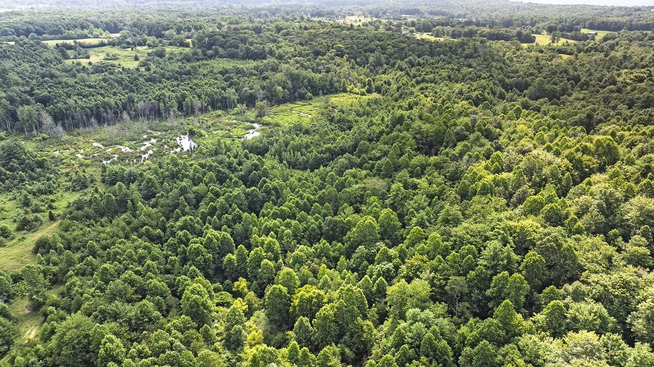 329 Flower Garden Road Grandview, TN 37337 - Photo 6 of 17 fg4