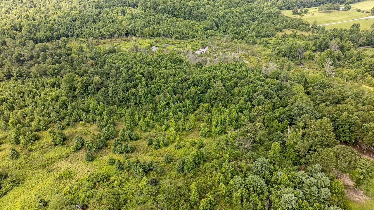 329 Flower Garden Road Grandview, TN 37337 - Photo 8 of 17 fg15