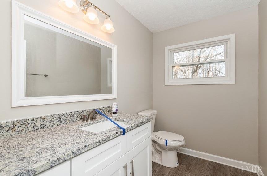1180 David Giles Lane Blairs, VA 24527 - Photo 17 of 34 a bathroom with a granite countertop sink toilet and mirror