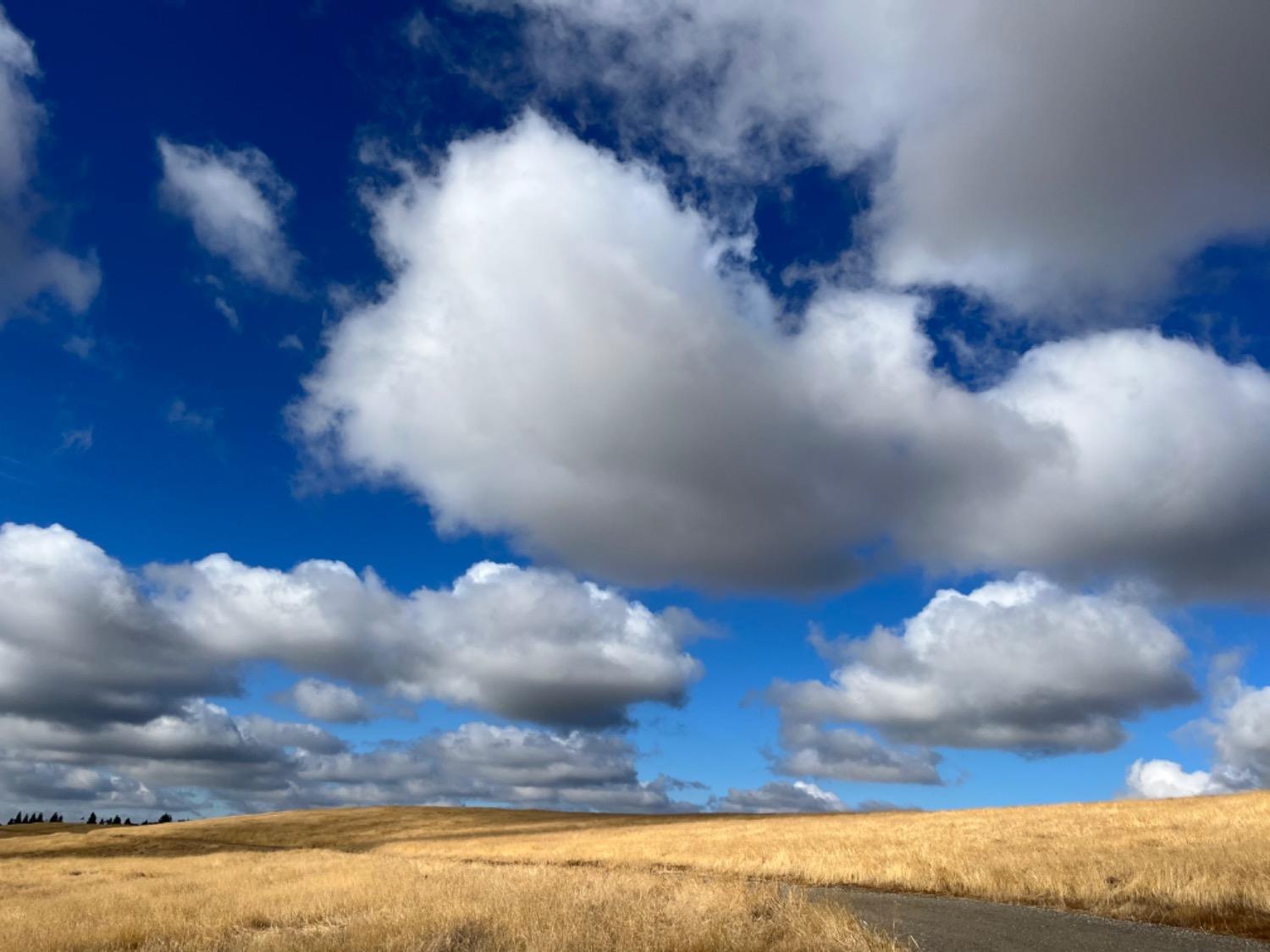 22654 Cobblestone Lane Sanger, CA 93657 - Photo 62 of 64