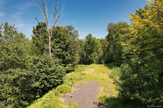 a view of a yard with trees