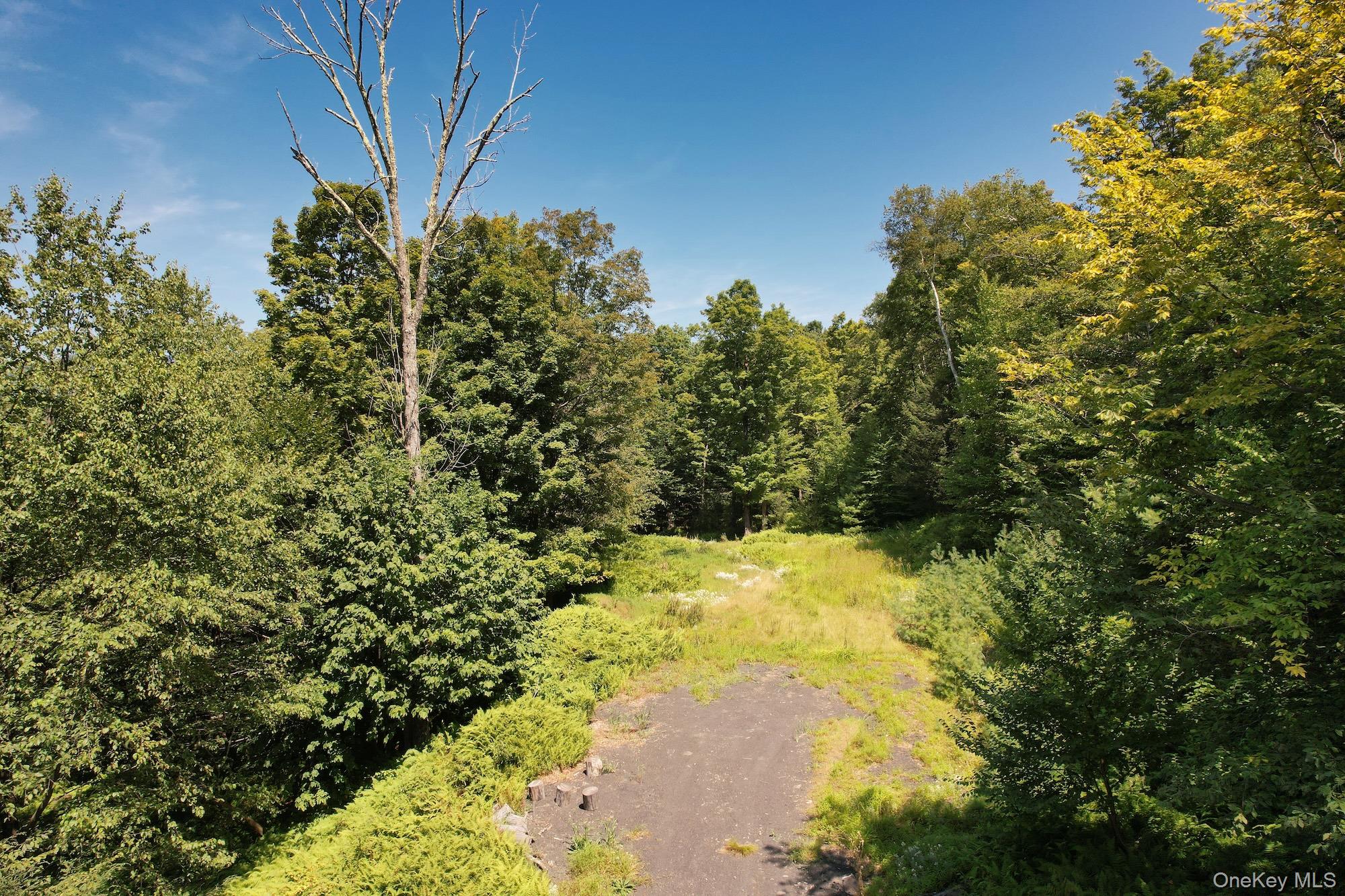 Tbd Macdaniel Road Woodstock, NY 12409 - Photo 11 of 15 a view of a yard with trees