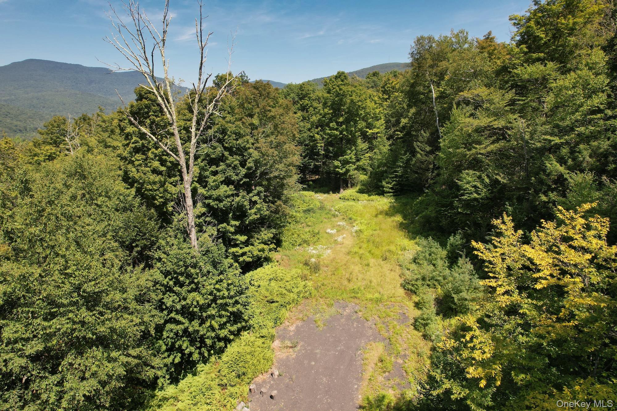 Tbd Macdaniel Road Woodstock, NY 12409 - Photo 12 of 15 a view of a garden