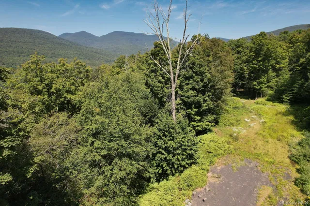 a view of a lush green forest with mountains in the background