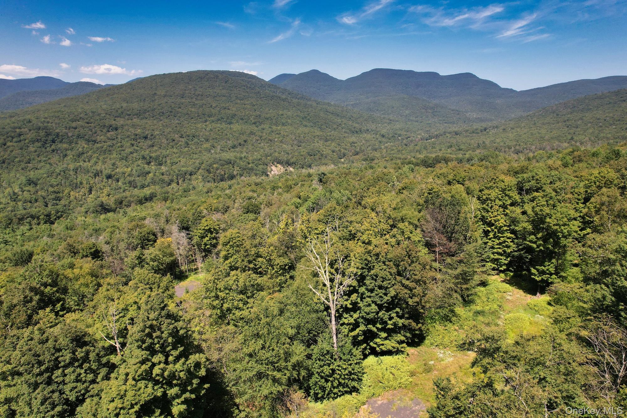 Tbd Macdaniel Road Woodstock, NY 12409 - Photo 14 of 15 a view of a lush green hillside and a building