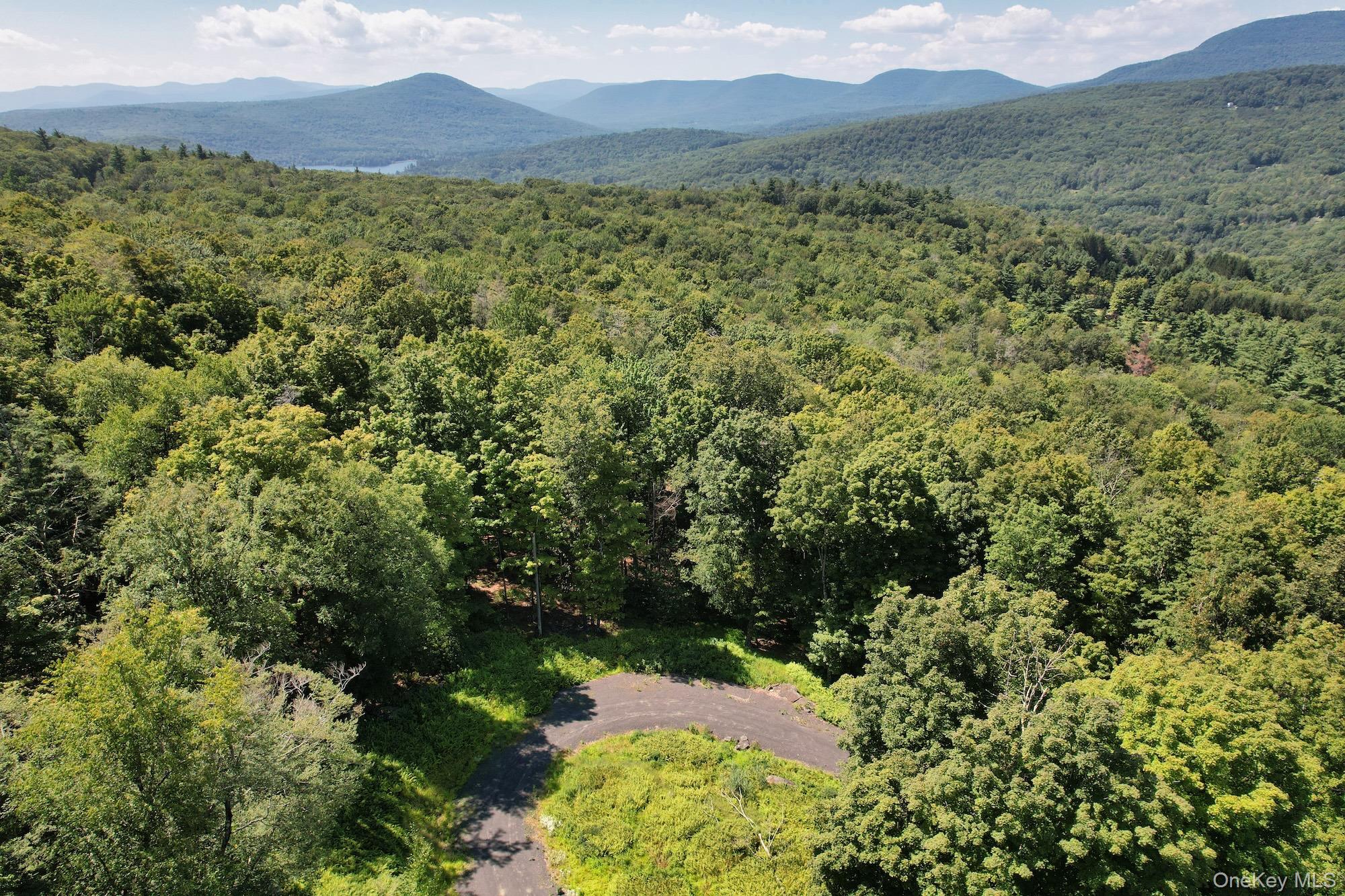 Tbd Macdaniel Road Woodstock, NY 12409 - Photo 15 of 15 a view of a lush green hillside and a houses