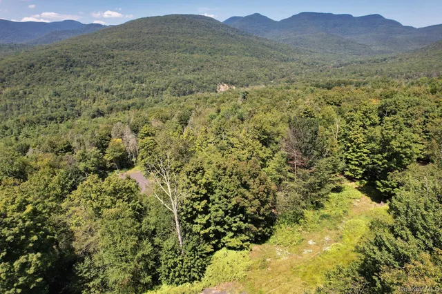 a view of a lush green hillside and a mountain