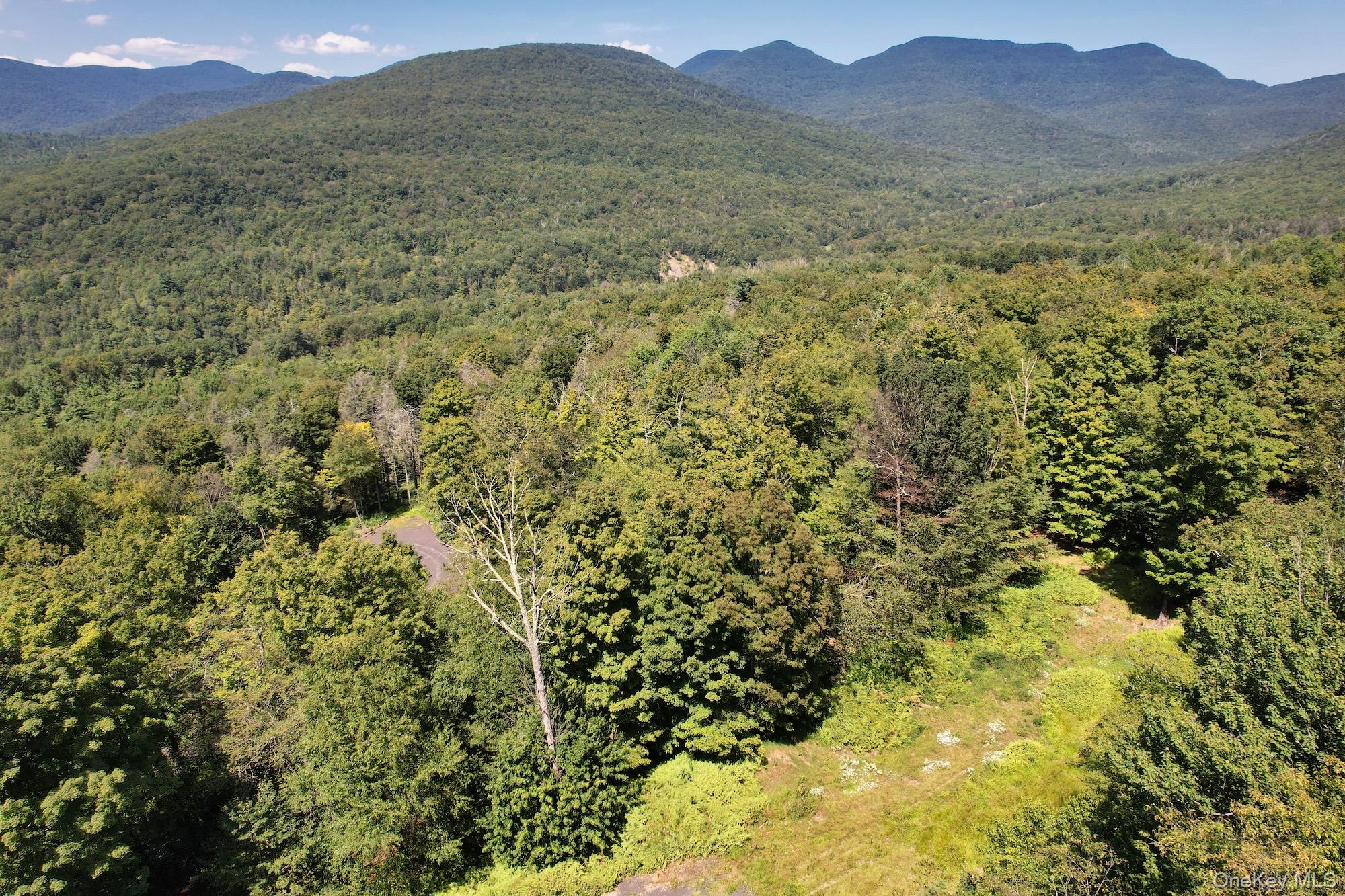 Tbd Macdaniel Road Woodstock, NY 12409 - Photo 3 of 15 a view of a lush green hillside and a mountain