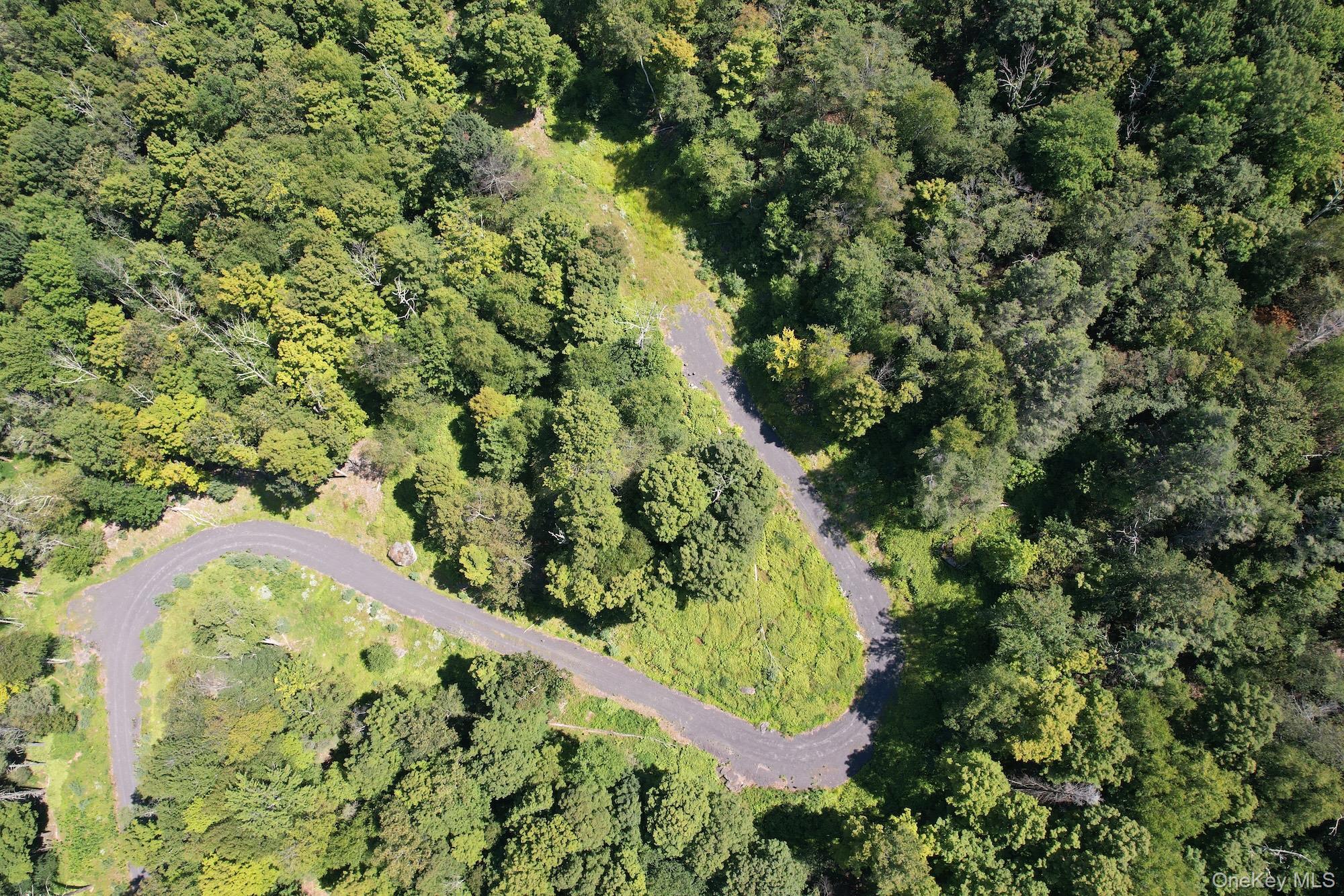 Tbd Macdaniel Road Woodstock, NY 12409 - Photo 4 of 15 a view of a forest with a tree