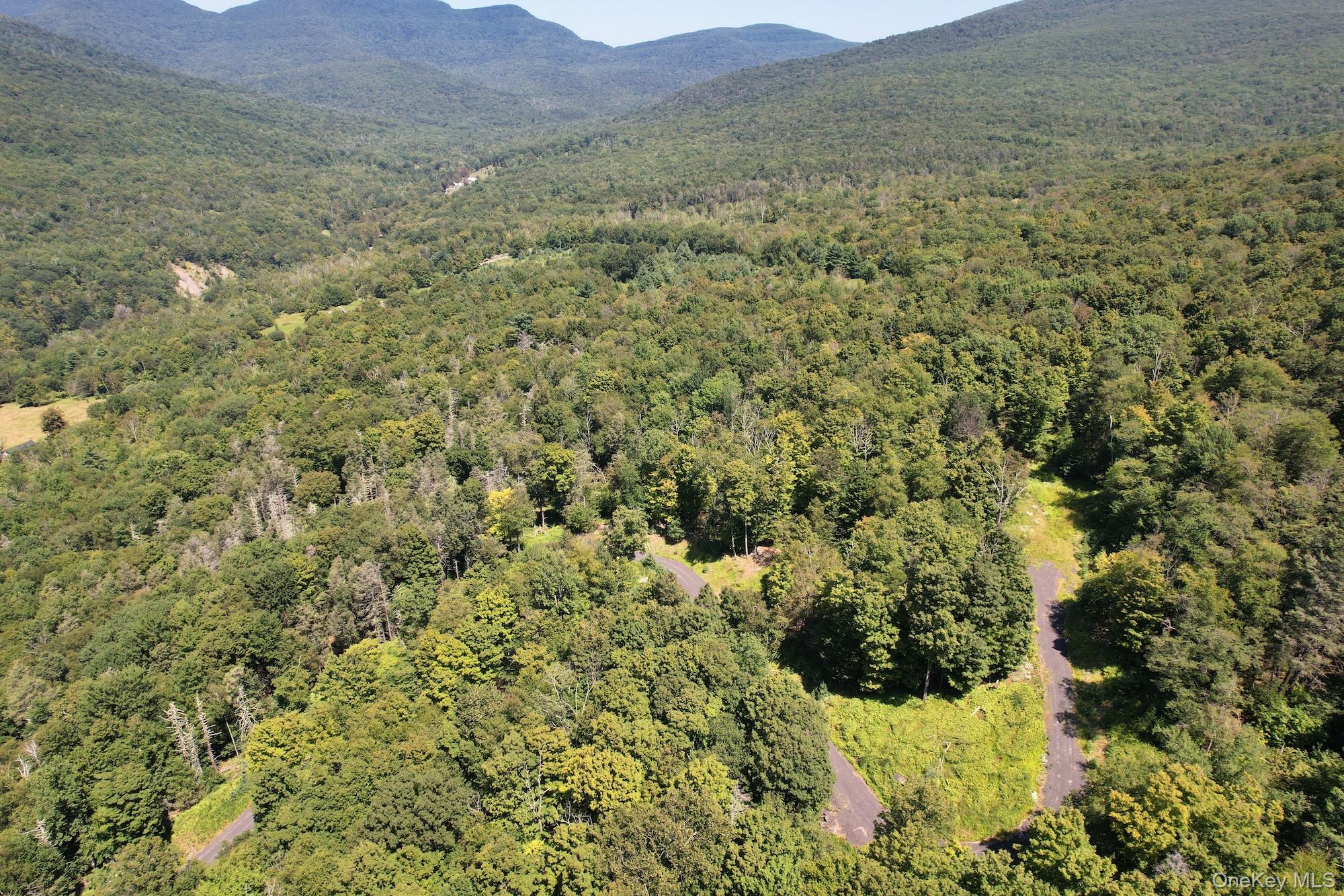 Tbd Macdaniel Road Woodstock, NY 12409 - Photo 5 of 15 a view of a field of mountains and valleys