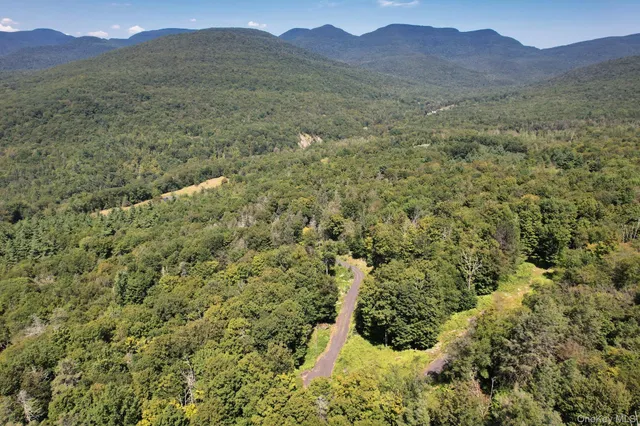a view of a lush green hillside and a mountain