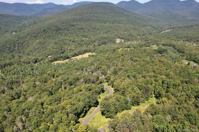 a view of a lush green hillside and houses