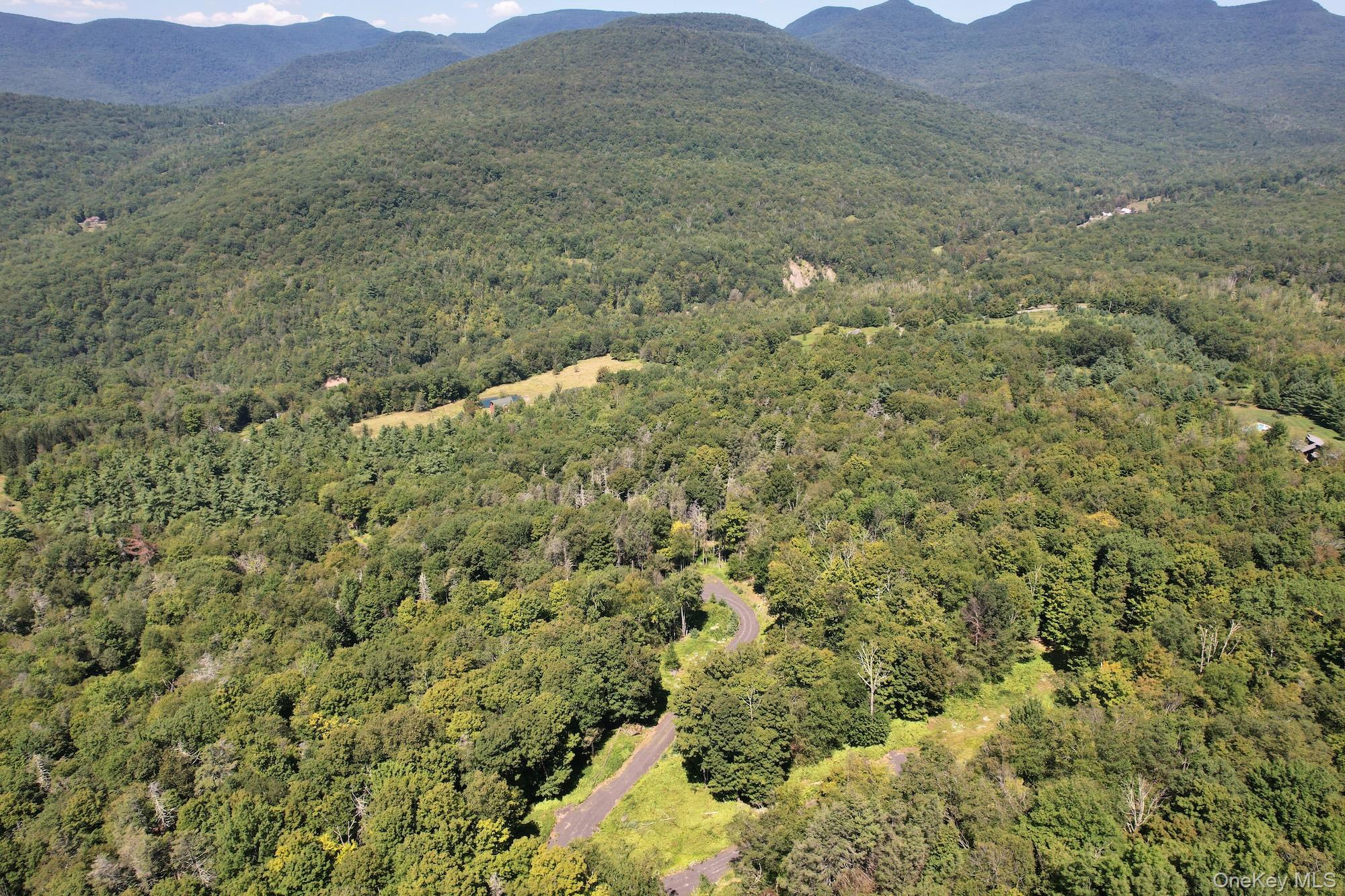 Tbd Macdaniel Road Woodstock, NY 12409 - Photo 7 of 15 a view of a lush green hillside and houses