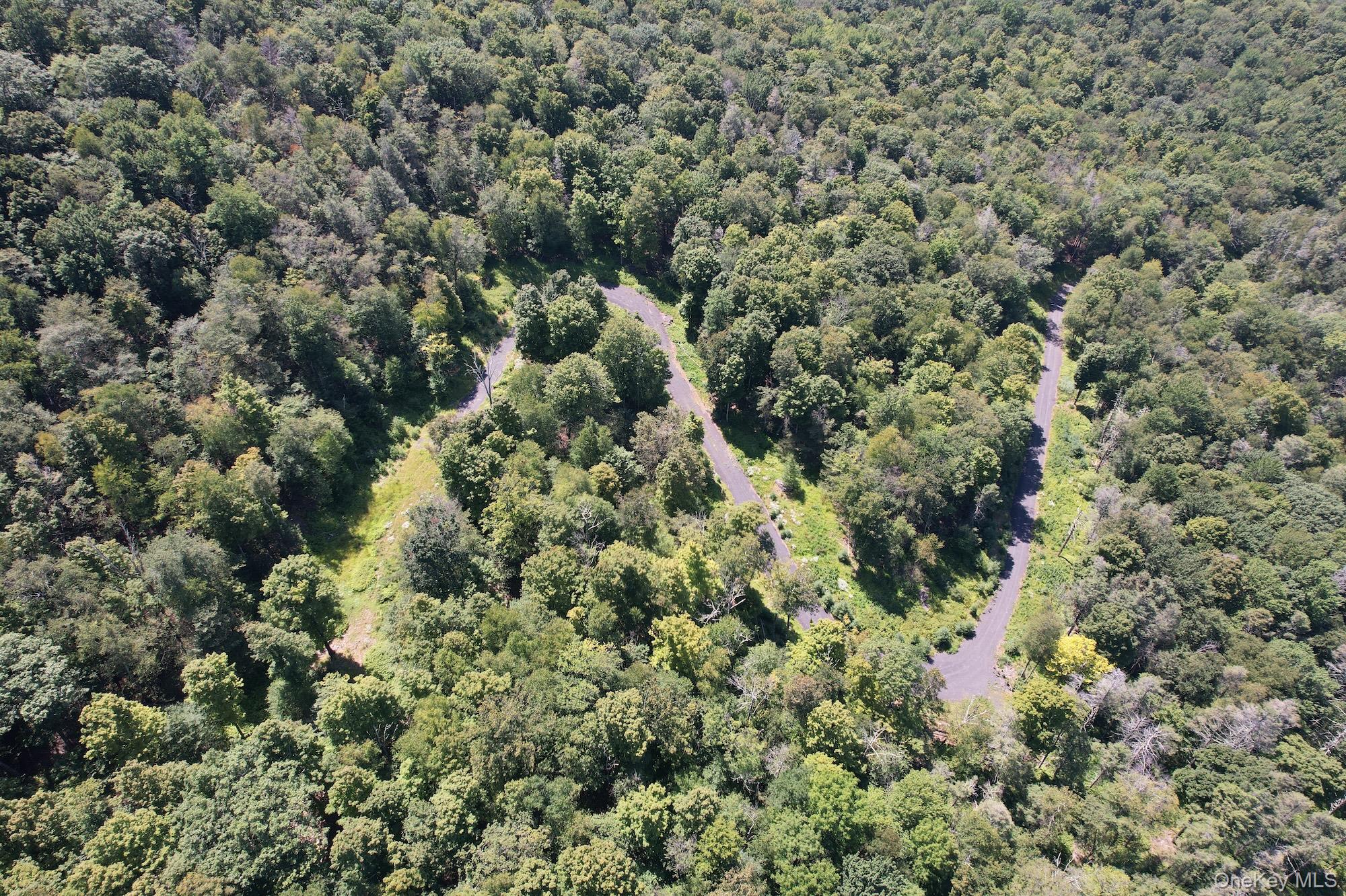 Tbd Macdaniel Road Woodstock, NY 12409 - Photo 9 of 15 an aerial view of a houses with a yard