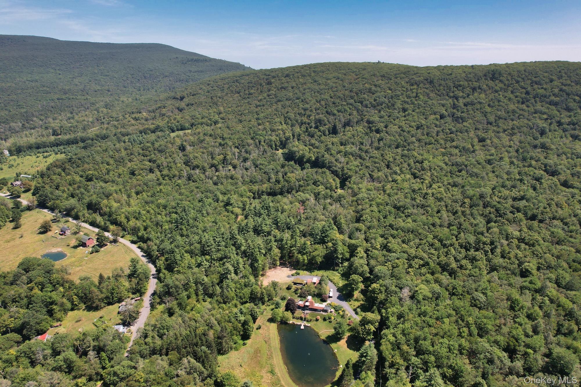 Tbd Macdaniel Road Woodstock, NY 12409 - Photo 10 of 15 a view of outdoor space and mountain view