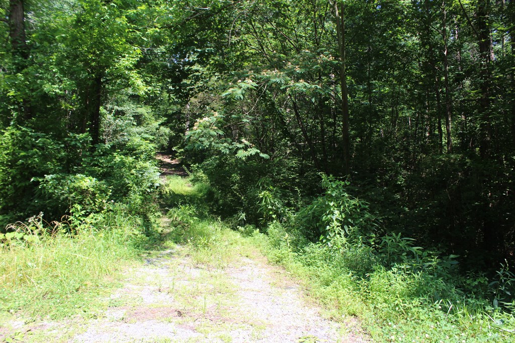 154 Silvers Road Chatsworth, GA 30705 - Photo 6 of 13 Gallery Image 6