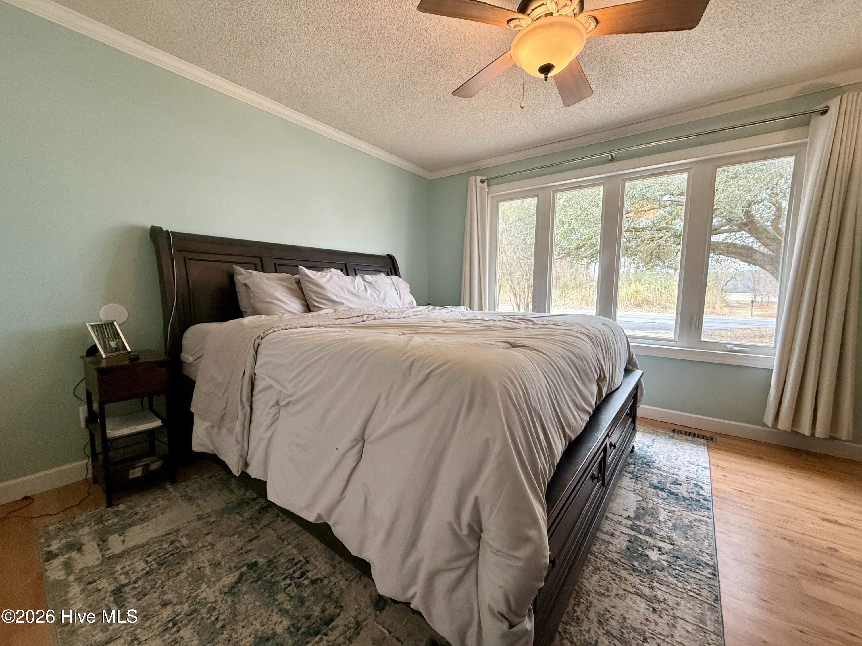 1105 Cowin Road Williamston, NC 27892 - Photo 32 of 59 Primary Bedroom