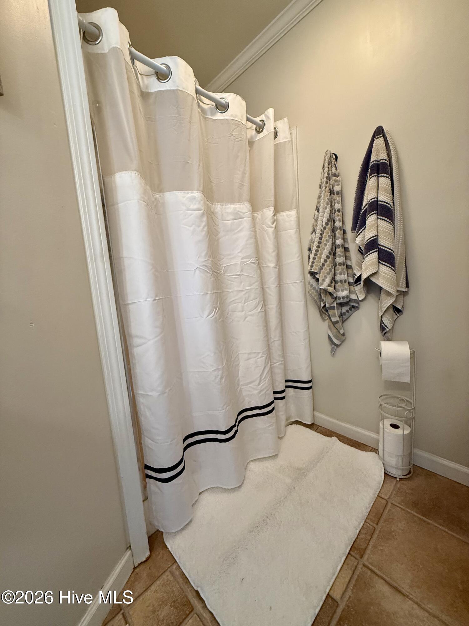 1105 Cowin Road Williamston, NC 27892 - Photo 38 of 59 Bathroom #1