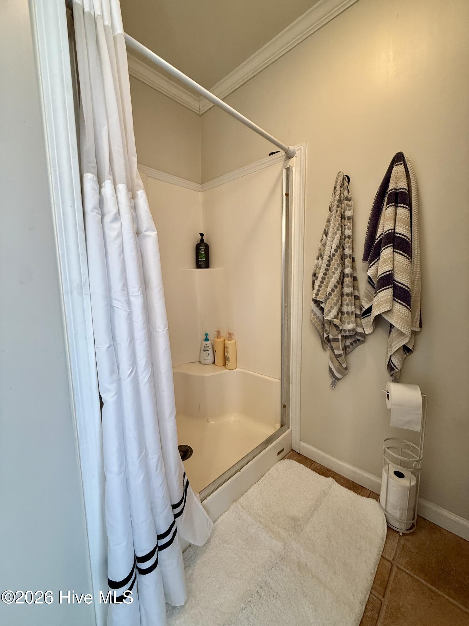 1105 Cowin Road Williamston, NC 27892 - Photo 39 of 59 Bathroom #1