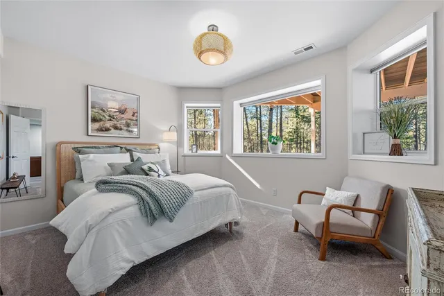 a bedroom with a bed and a couch