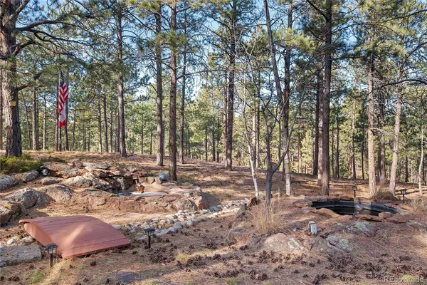 a view of a yard with trees