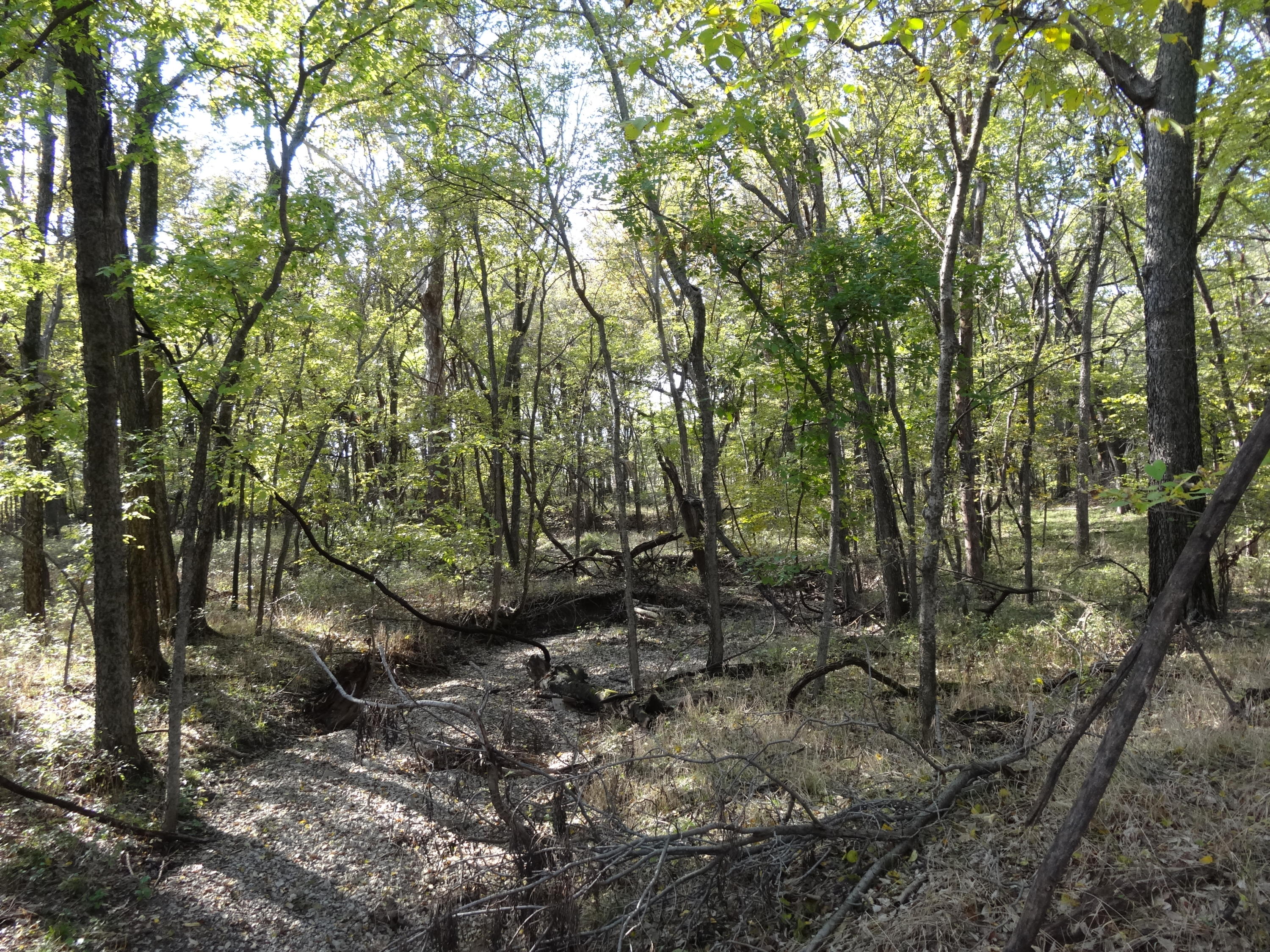 6 R R Wann, OK 74083 - Photo 13 of 48 Gallery Image 13