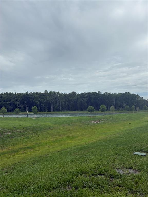 1550 Ranchette Road Wesley Chapel, FL 33543 - Photo 24 of 30