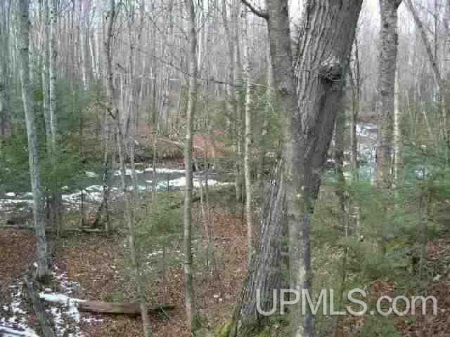 A & B-1 Bolo Road, Unit A & B1 Ontonagon, MI 49953 - Photo 2 of 6