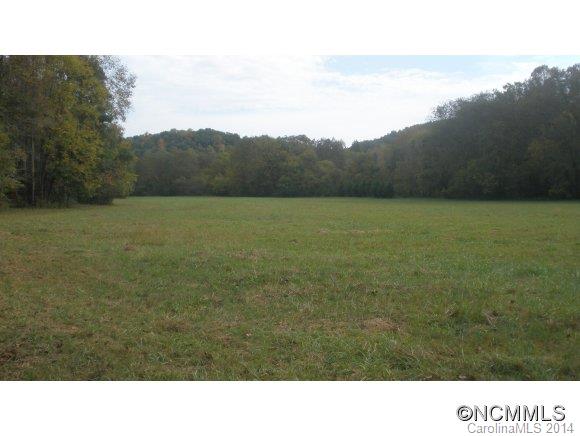 1519 Baber Road Rutherfordton, NC 28139 - Photo 6 of 8