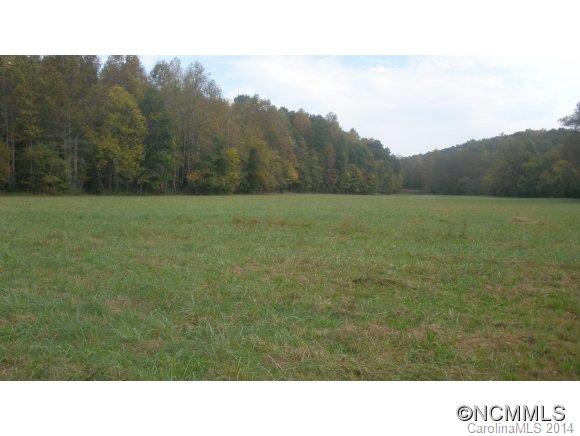 1519 Baber Road Rutherfordton, NC 28139 - Photo 7 of 8
