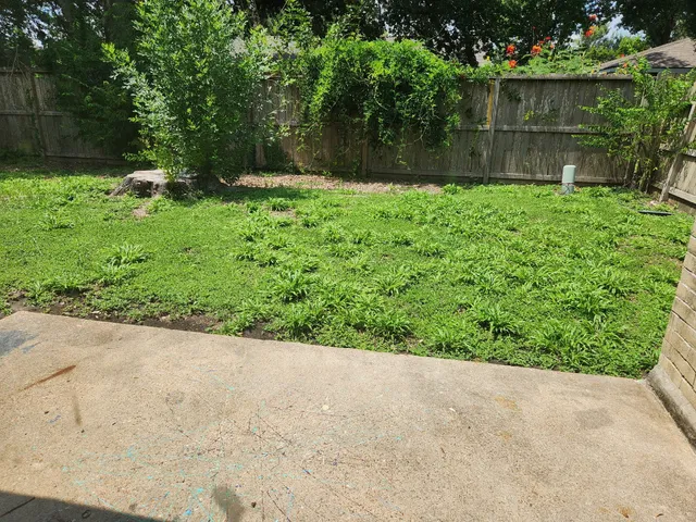 a view of a garden with a bench