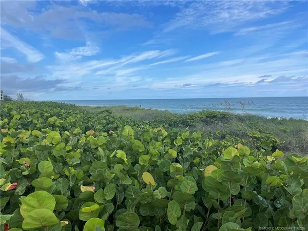 a view of a green field