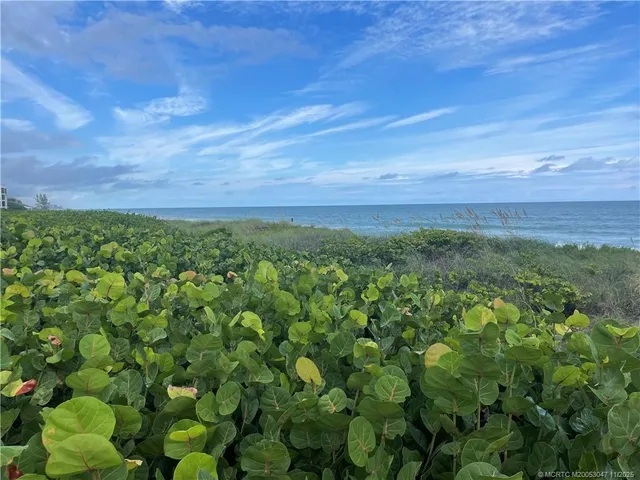 a view of a green field