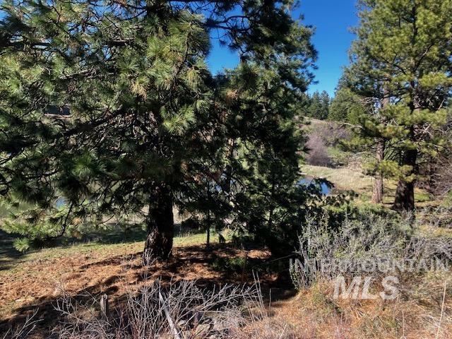 2891 Peola Road Pomeroy, WA 99347 - Photo 27 of 37