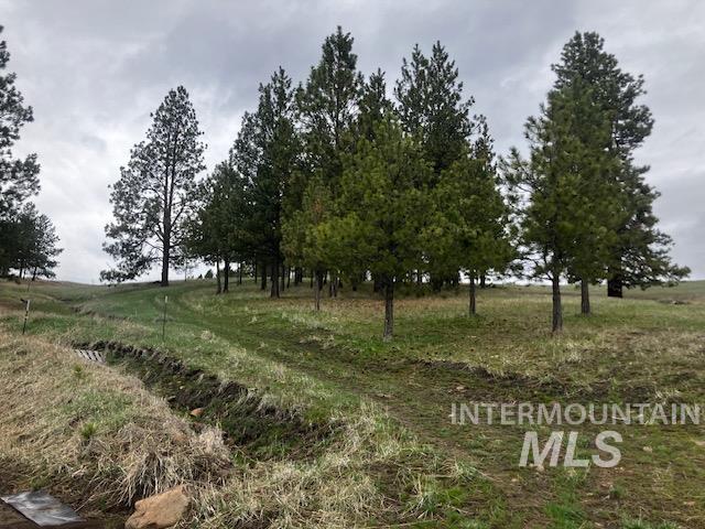 2891 Peola Road Pomeroy, WA 99347 - Photo 33 of 37