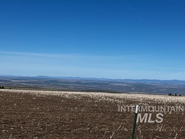 2891 Peola Road Pomeroy, WA 99347 - Photo 4 of 37