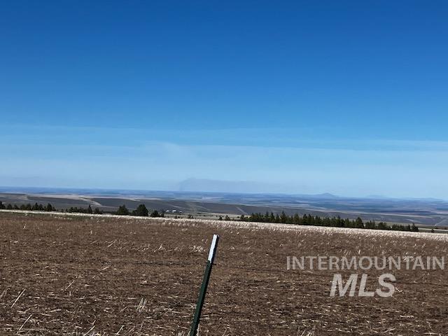 2891 Peola Road Pomeroy, WA 99347 - Photo 5 of 37