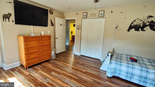 a view of a park with large trees