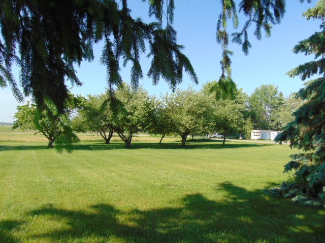 8385 North Wisner Road Breckenridge, MI 48615 - Photo 5 of 63 1875304-4.JPG