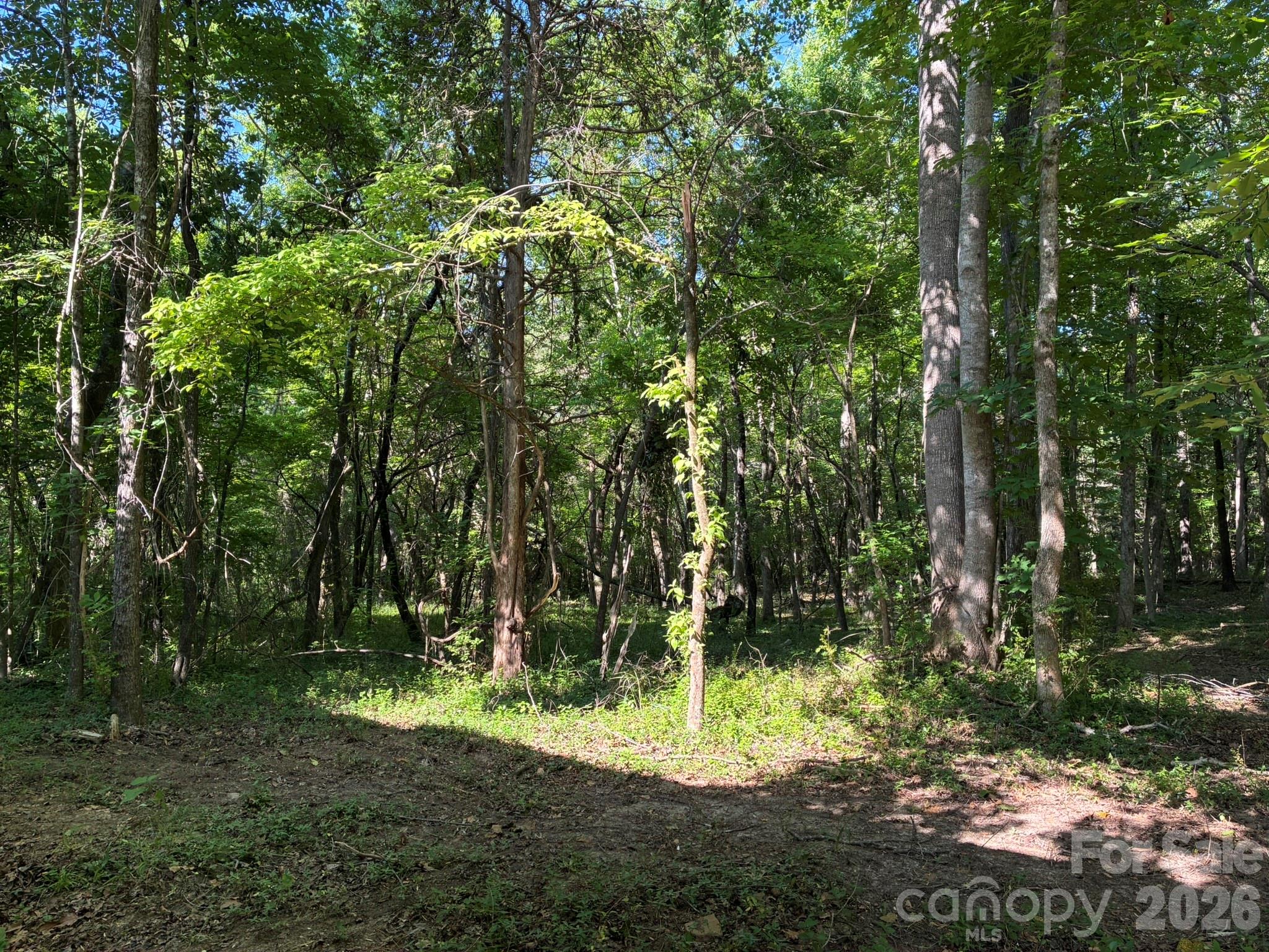 2051 Sutton Spring Road York, SC 29745 - Photo 11 of 47 a backyard of a house with lots of green space