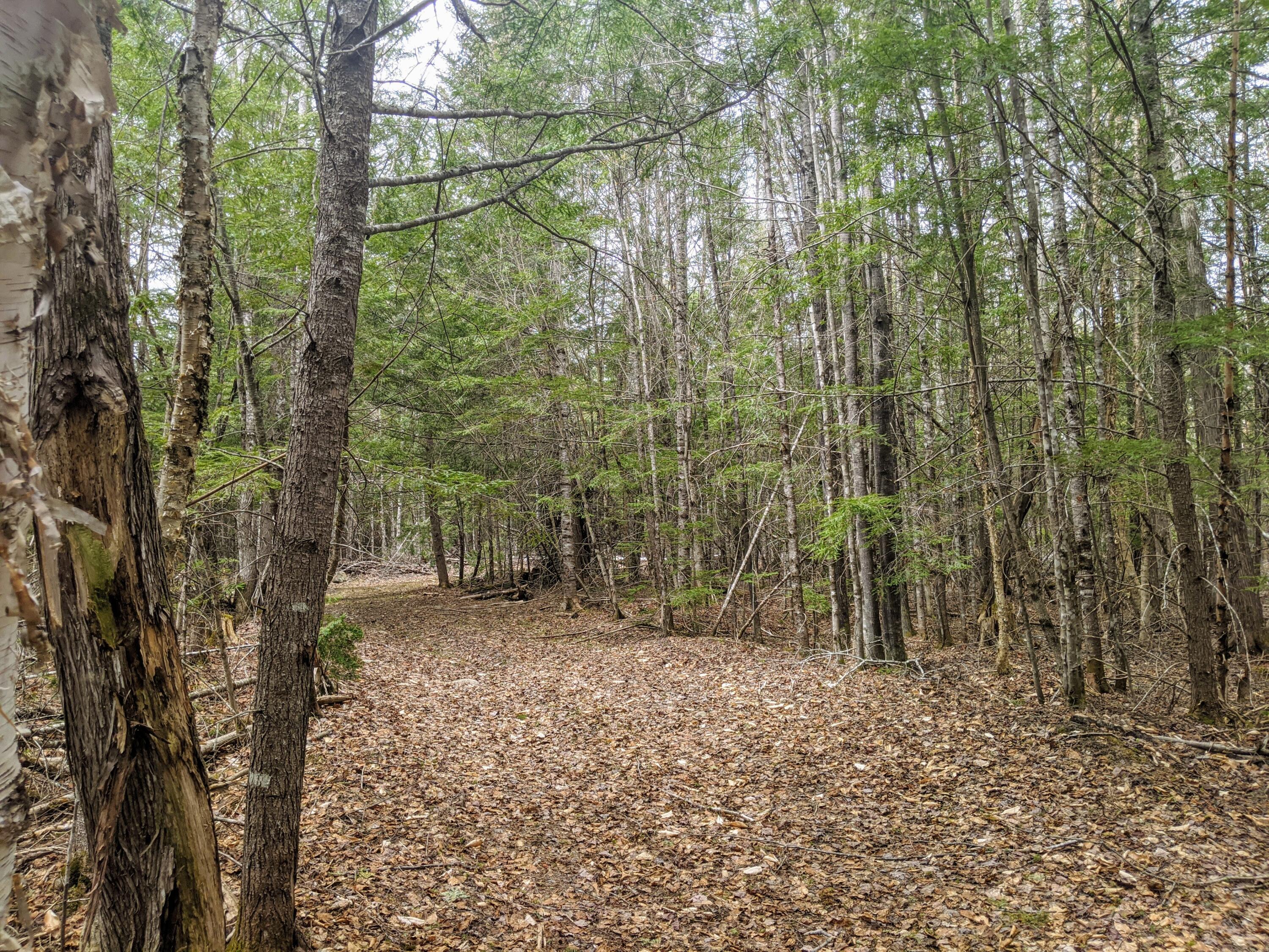 0 State Park Road Dover-Foxcroft, ME 04426 - Photo 9 of 29 IMG_20210429_121533
