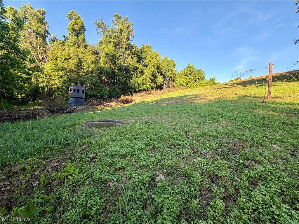 Sykes Ridge Road Clarington, OH 43915 - Photo 21 of 42