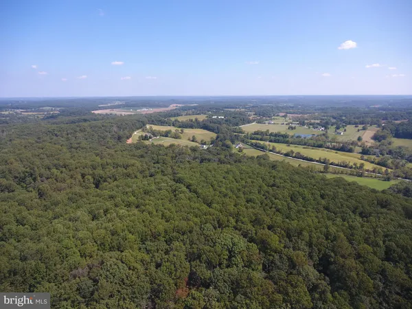 an aerial view of houses covered in trees