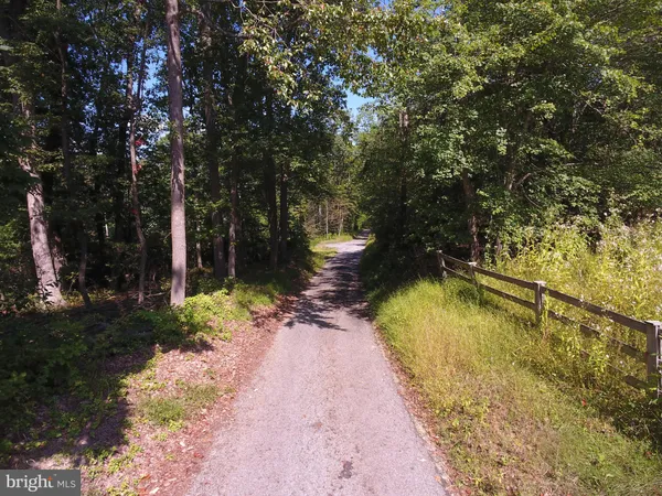 a view of a swimming pool with an outdoor space