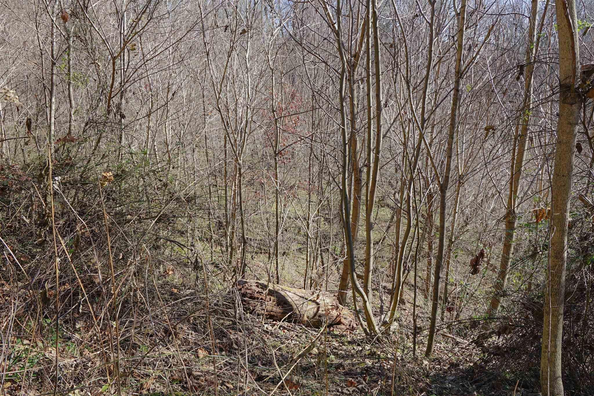 High Noon Road Pembroke, VA 24136 - Photo 7 of 19 Gallery Image 7