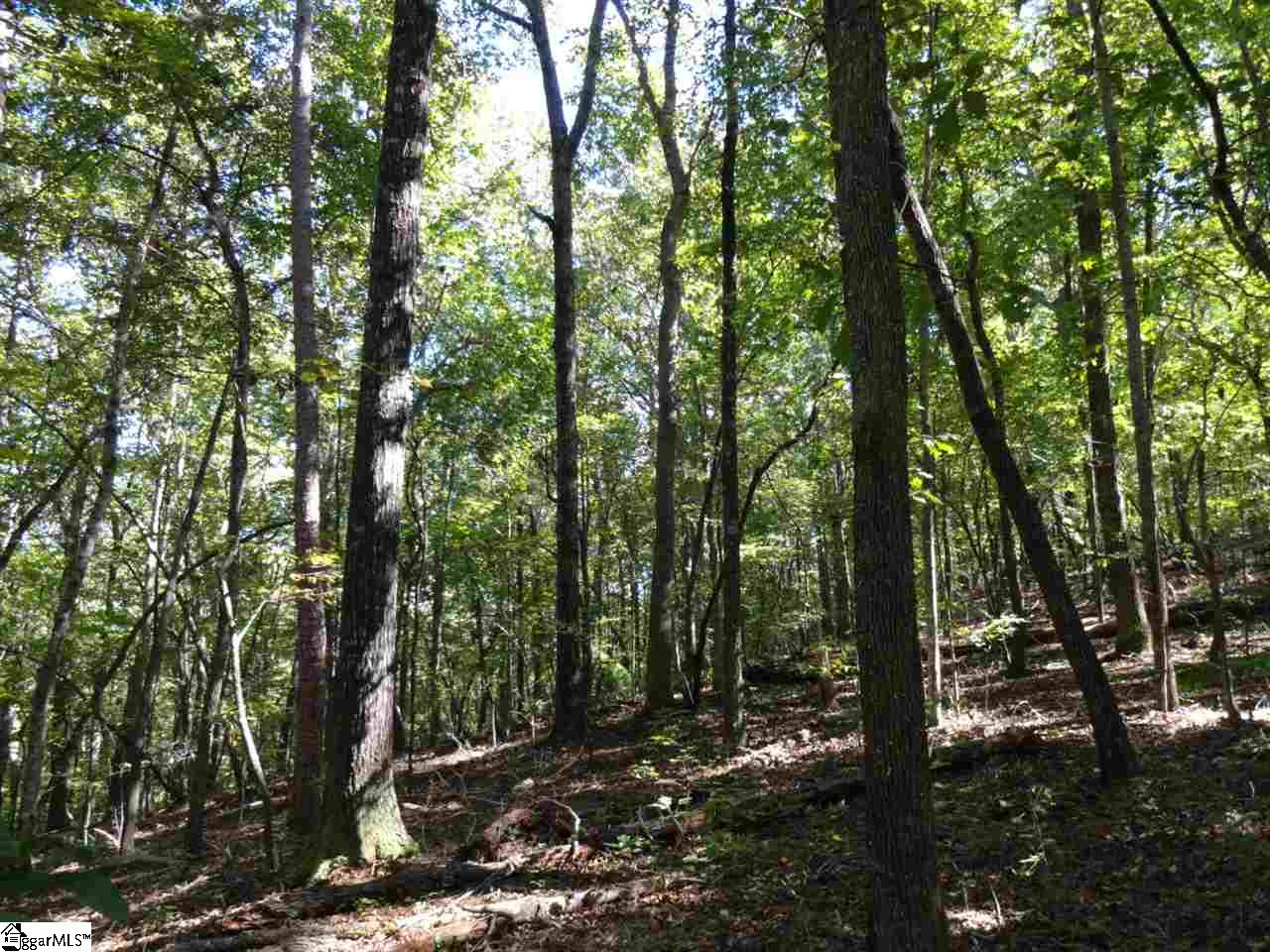 0 Corn Mill Road Pickens, SC 29671 - Photo 11 of 21