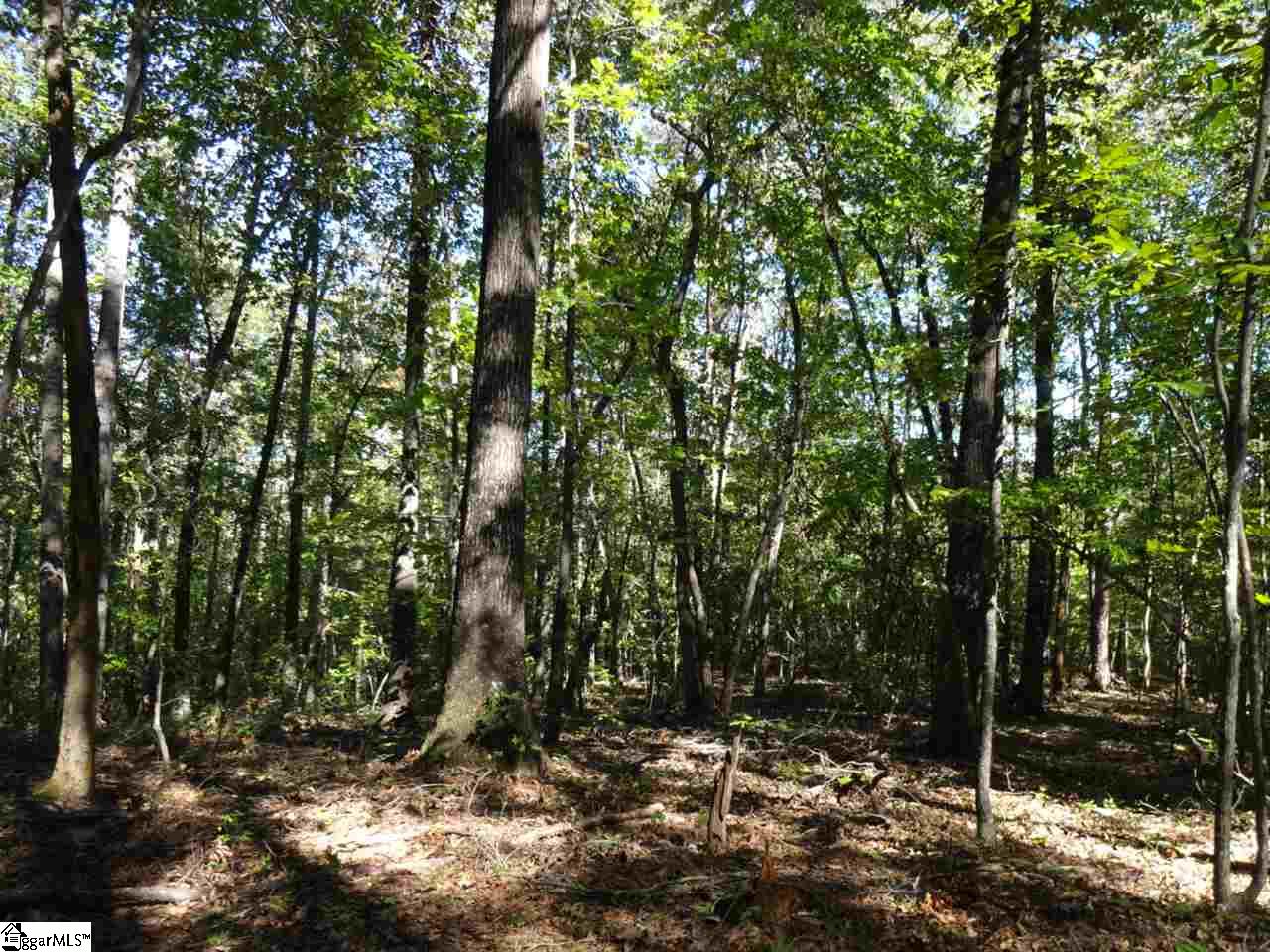 0 Corn Mill Road Pickens, SC 29671 - Photo 12 of 21