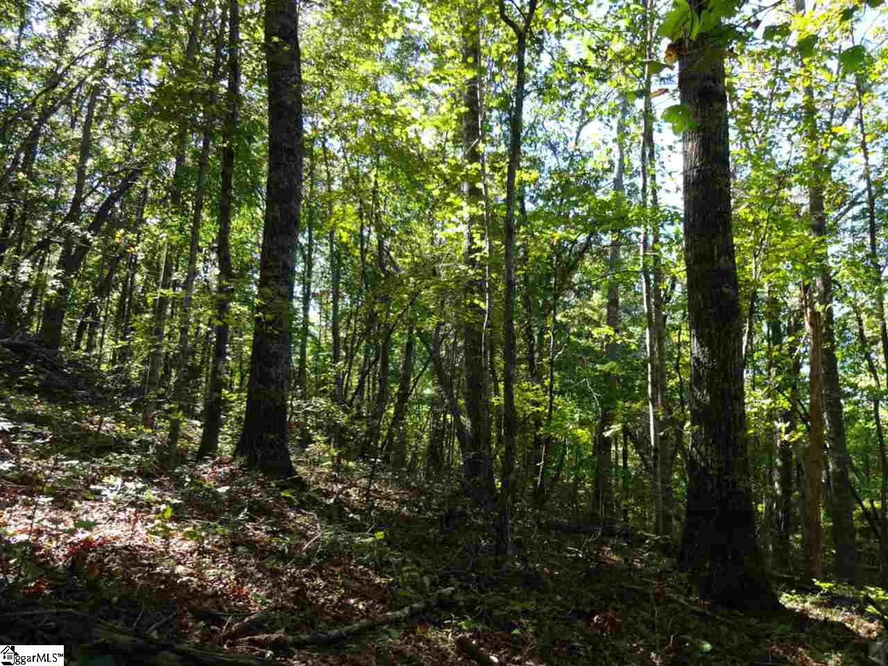 0 Corn Mill Road Pickens, SC 29671 - Photo 7 of 21